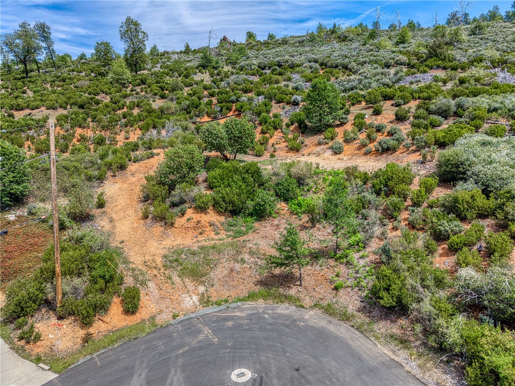 9738 Hoberg Drive E Property Photo 12