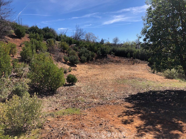9738 Hoberg Drive E Property Photo 13