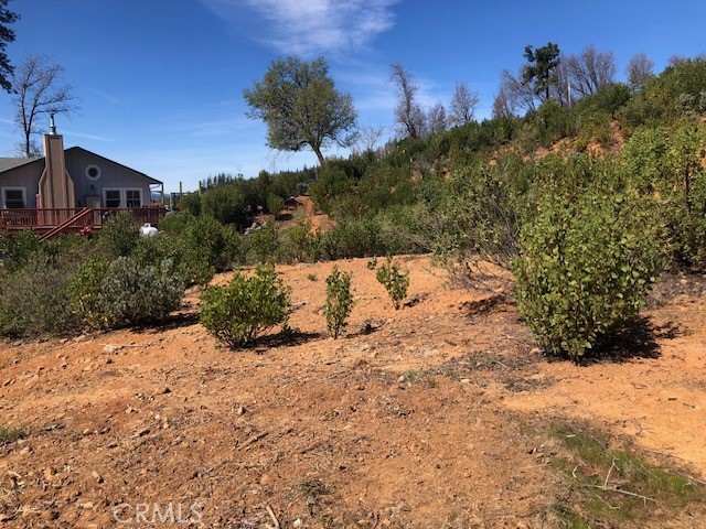 9738 Hoberg Drive E Property Photo 14