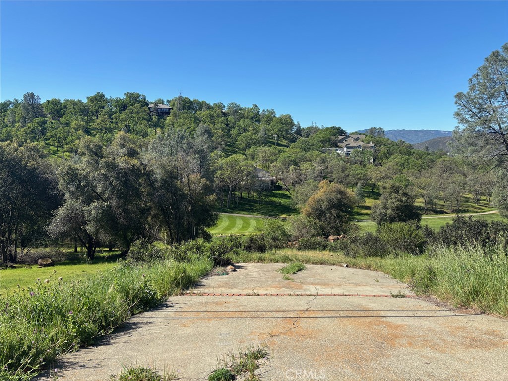 20137 Powder Horn Property Photo 1