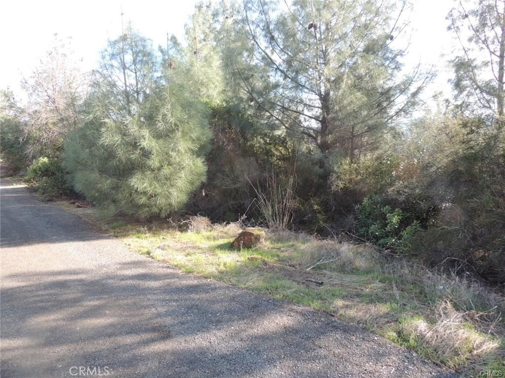 15657 19th Avenue Property Photo 2