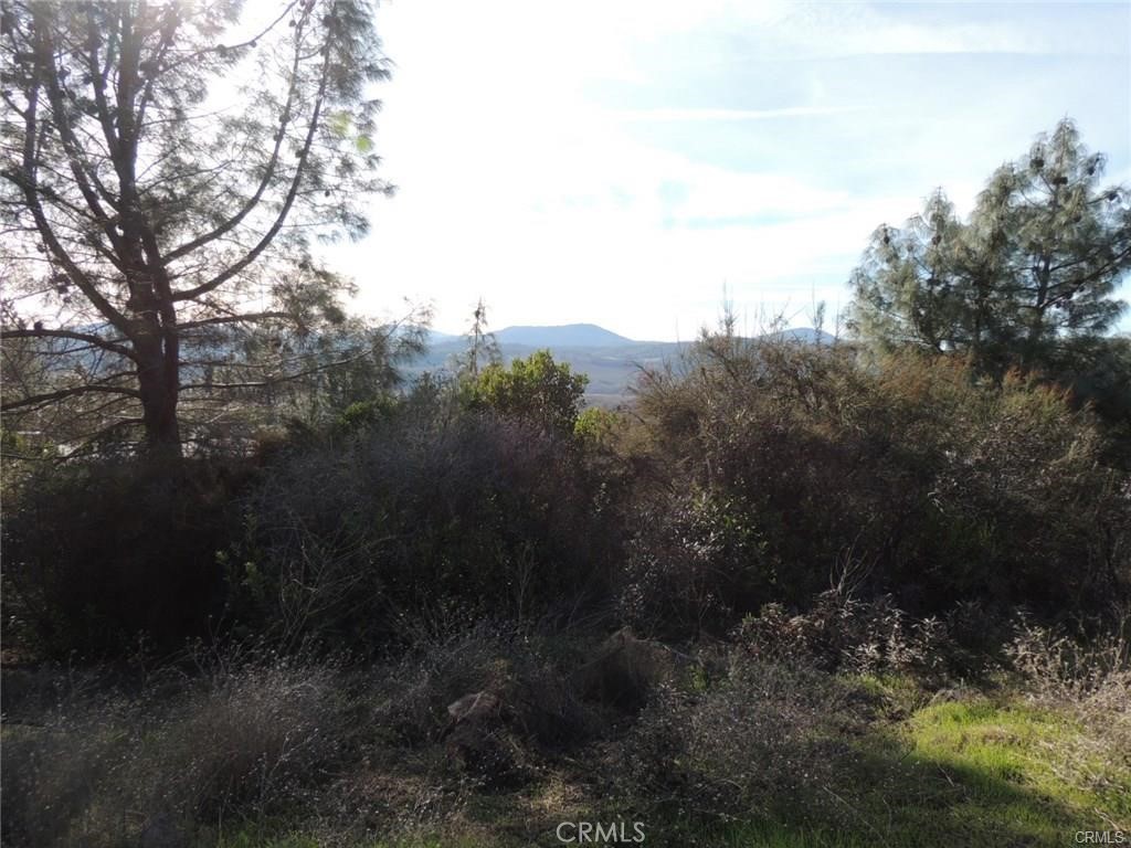 15657 19th Avenue Property Photo 3