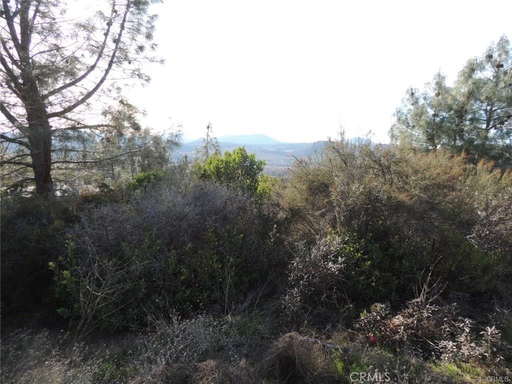 15657 19th Avenue Property Photo 4