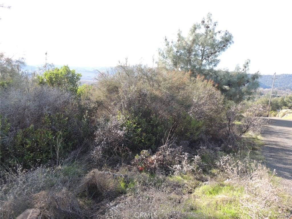 15657 19th Avenue Property Photo 5