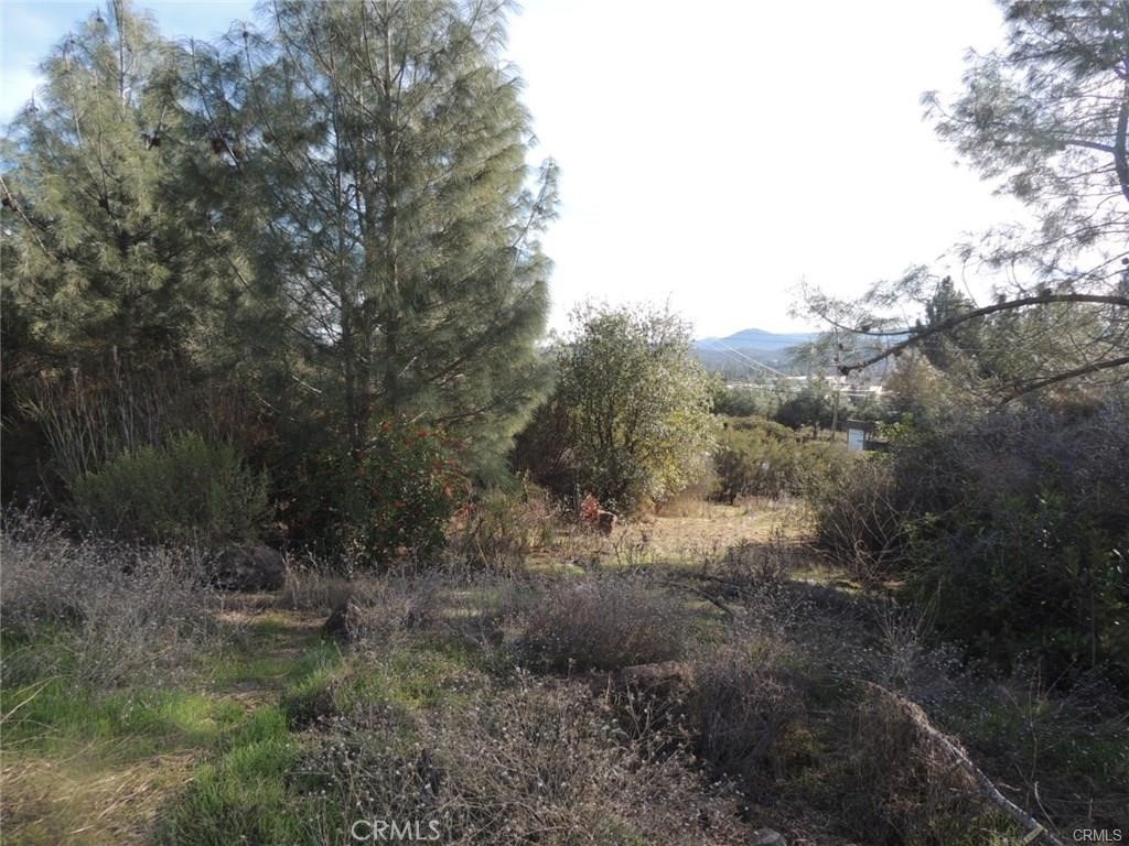 15657 19th Avenue Property Photo 7