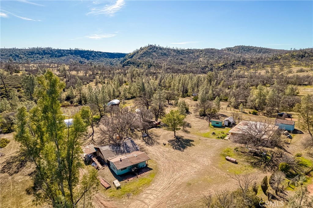 23059 Jerusalem Grade Property Photo 36