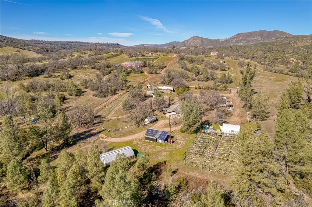 23059 Jerusalem Grade Property Photo 39