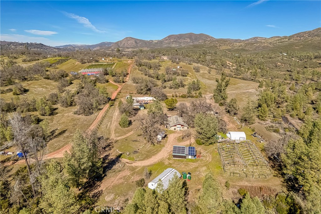 23059 Jerusalem Grade Property Photo 40