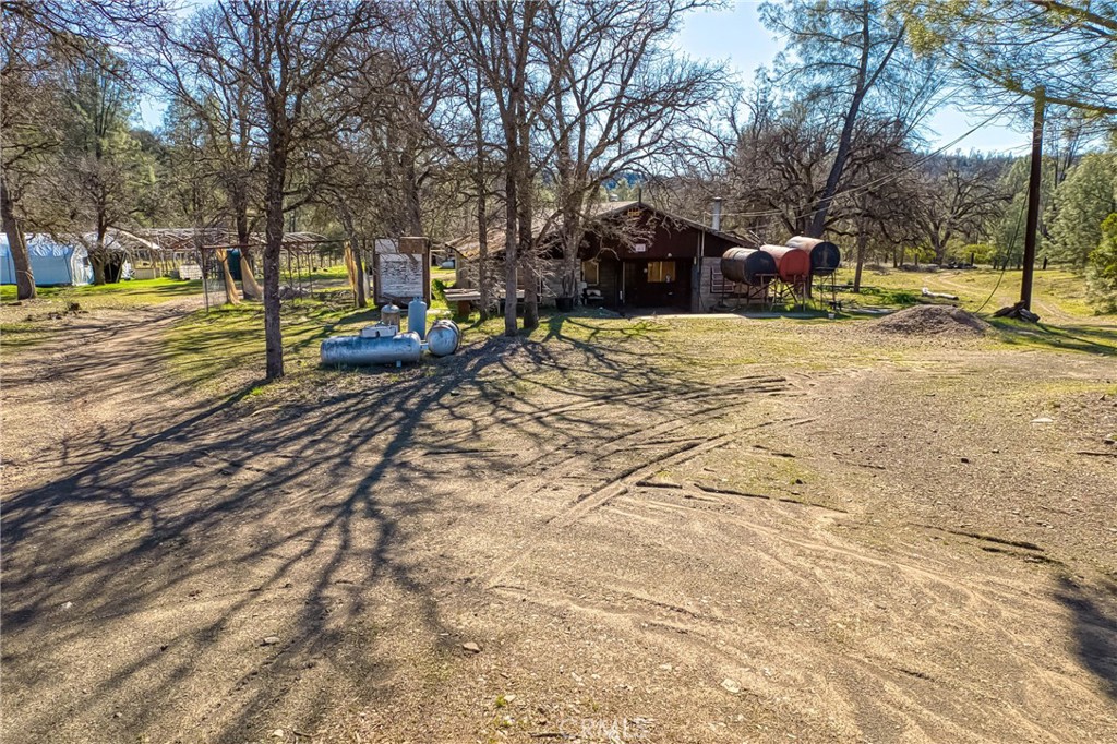 23059 Jerusalem Grade Property Photo 45