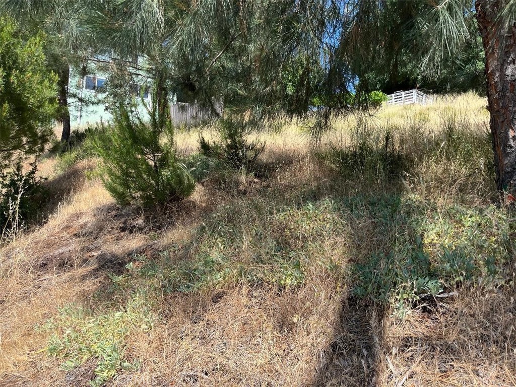 6925 Echo Drive Property Photo 2