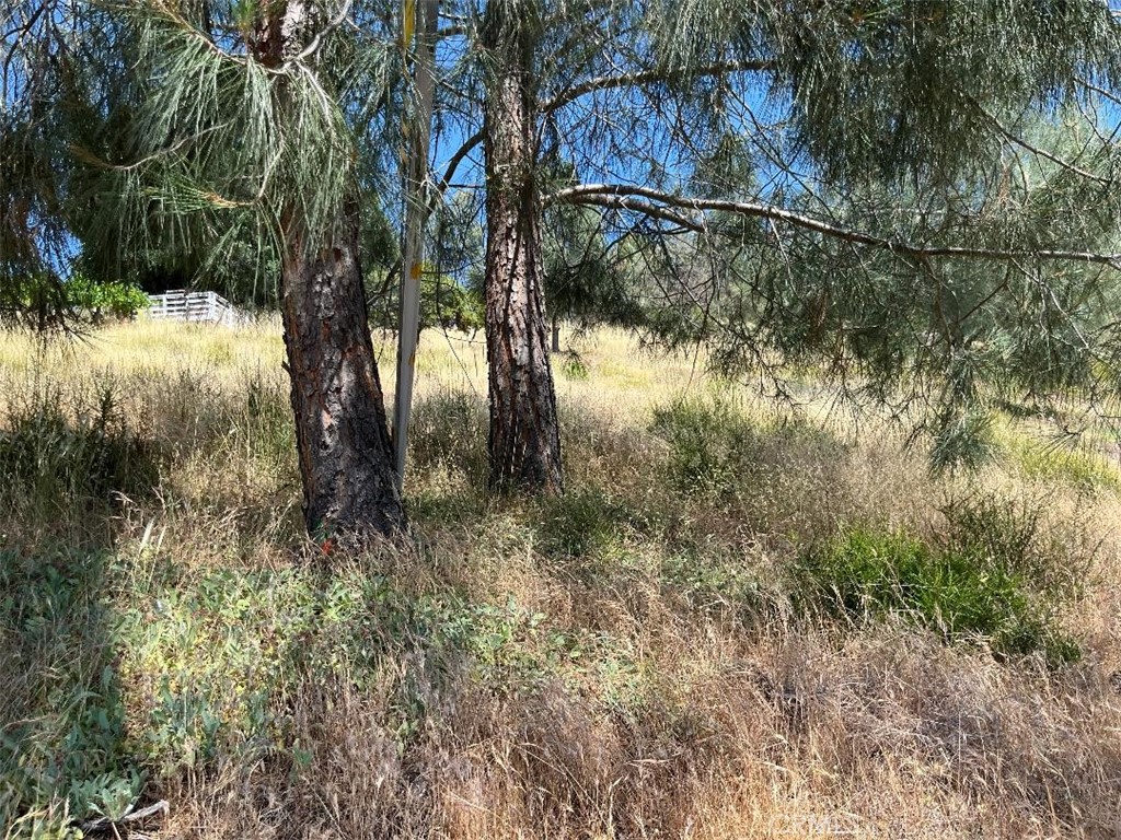 6925 Echo Drive Property Photo 3