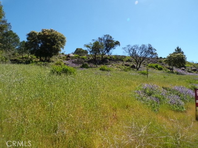 10450 Sunset Ridge Drive Property Photo 2