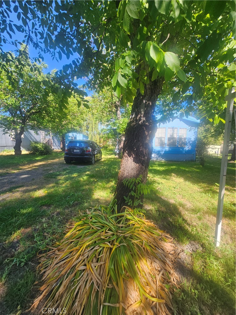 375 E Hwy 20 12 Property Photo 2