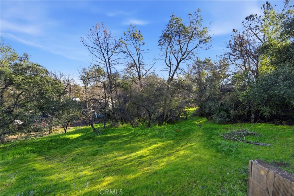3620 Old Highway 53 Property Photo 4