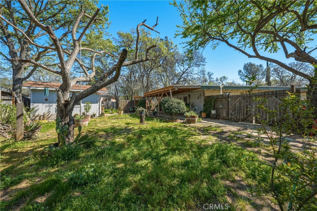 3676 Madrone Property Photo 48