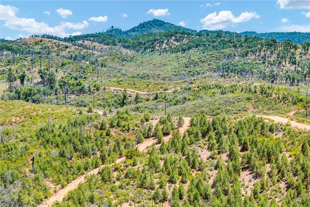 10525 Wagner Property Photo 13