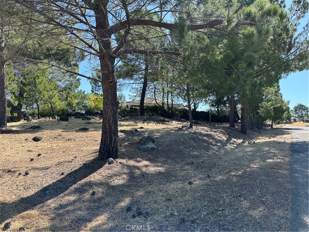 460 Lake Vista Drive Property Photo 59