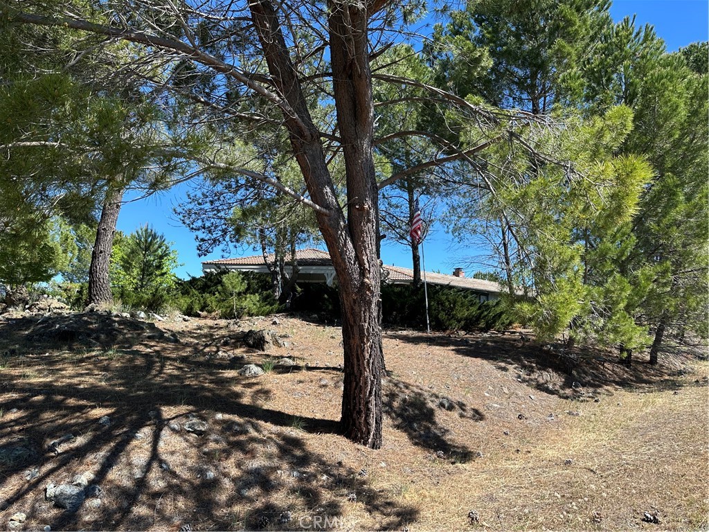 460 Lake Vista Drive Property Photo 68