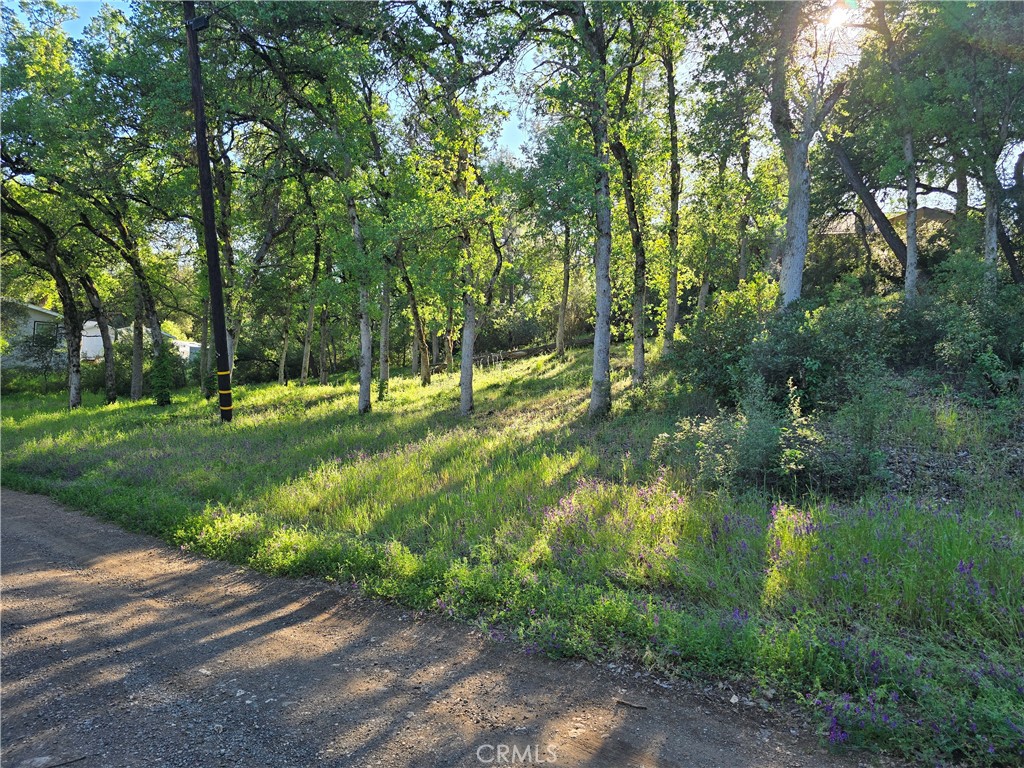 6176 Armijo Avenue Property Photo 1