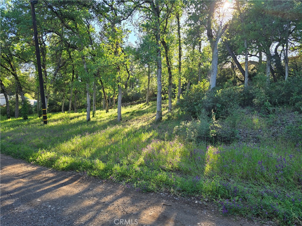 6176 Armijo Avenue Property Photo 4