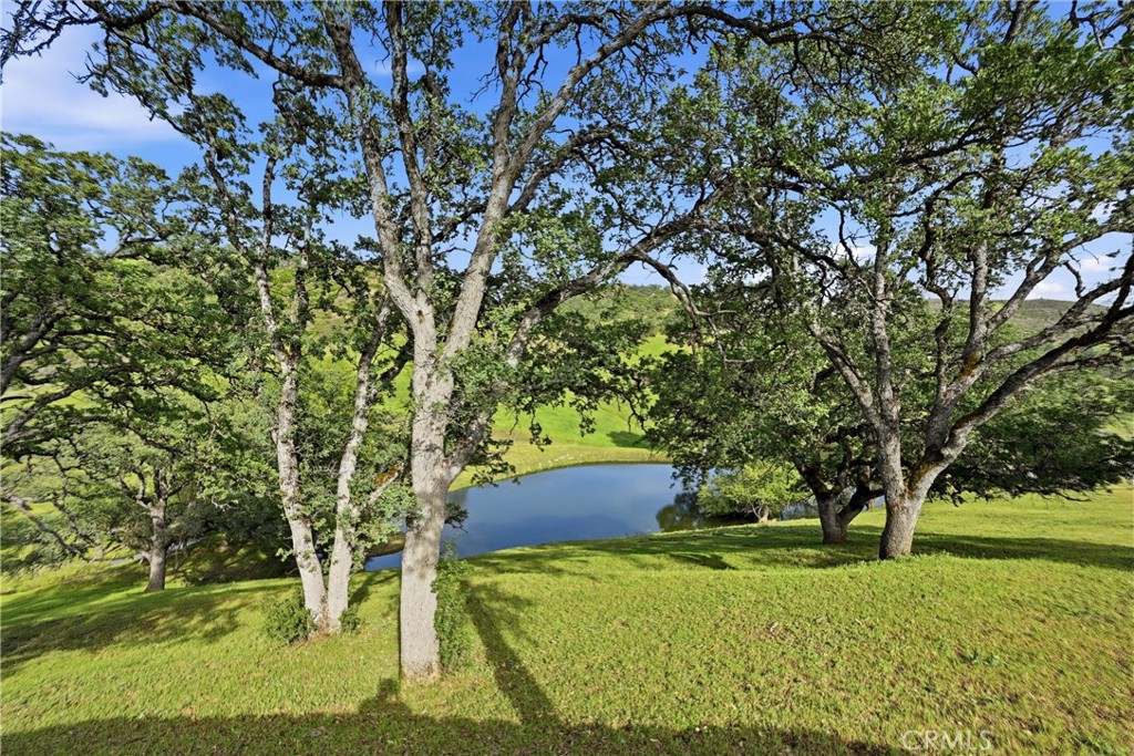 26200 Morgan Valley Property Photo 52