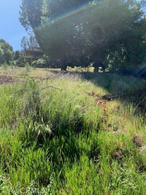 8299 N Heights Property Photo 2