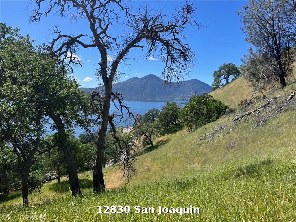 12820 San Joaquin Property Photo 6