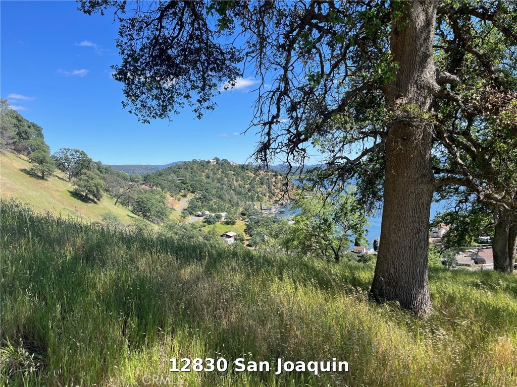 12820 San Joaquin Property Photo 9