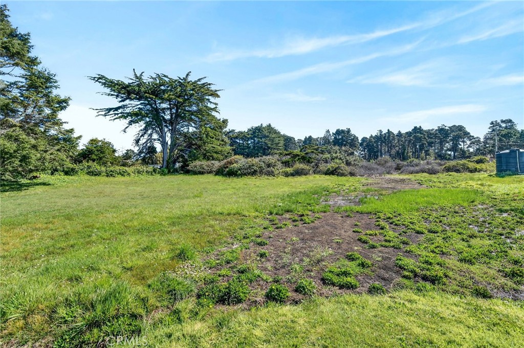 18801 N Highway 1 Property Photo 14