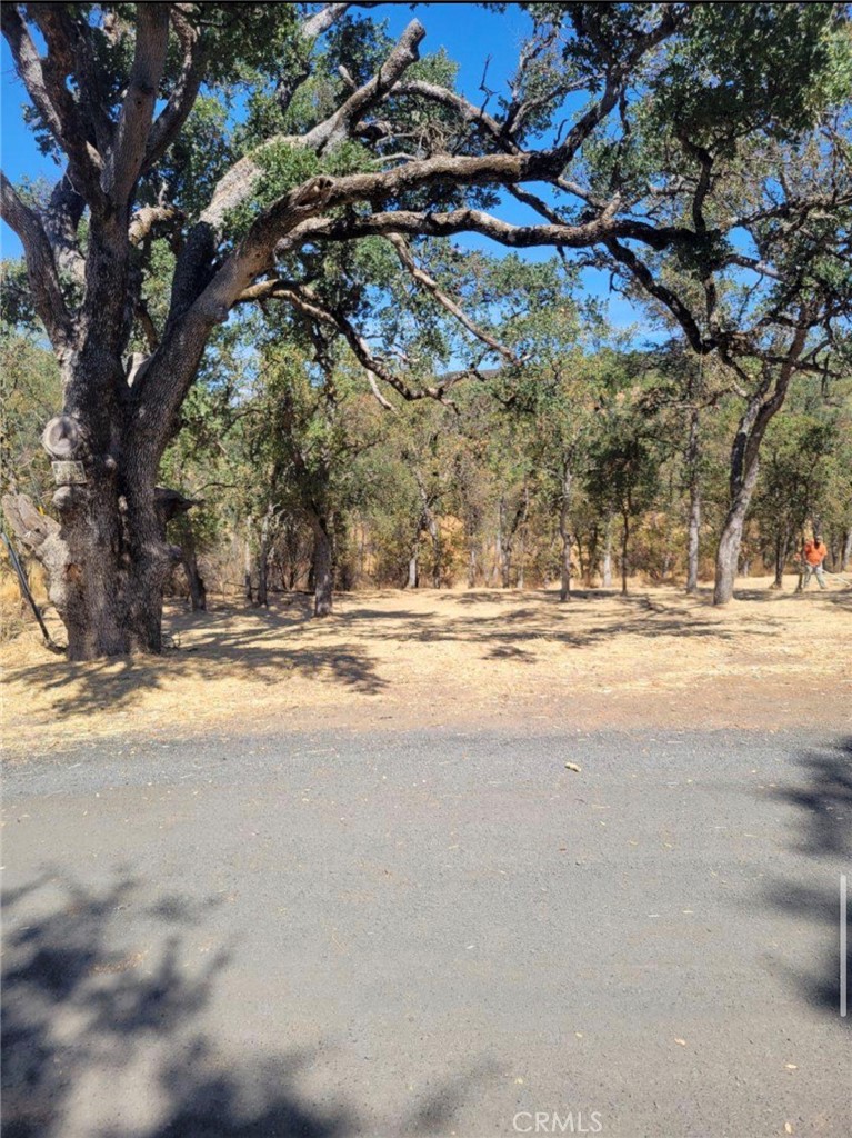 16366 36th Property Photo 2