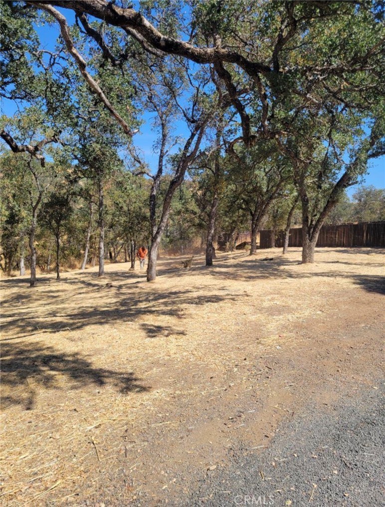 16366 36th Property Photo 5