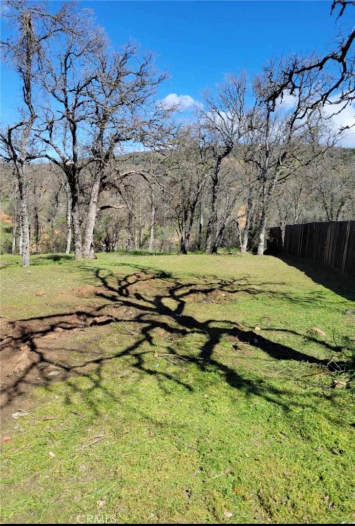 16366 36th Property Photo 6
