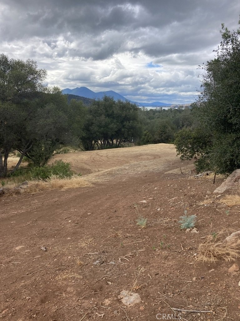 15628 19th Avenue Property Photo 1