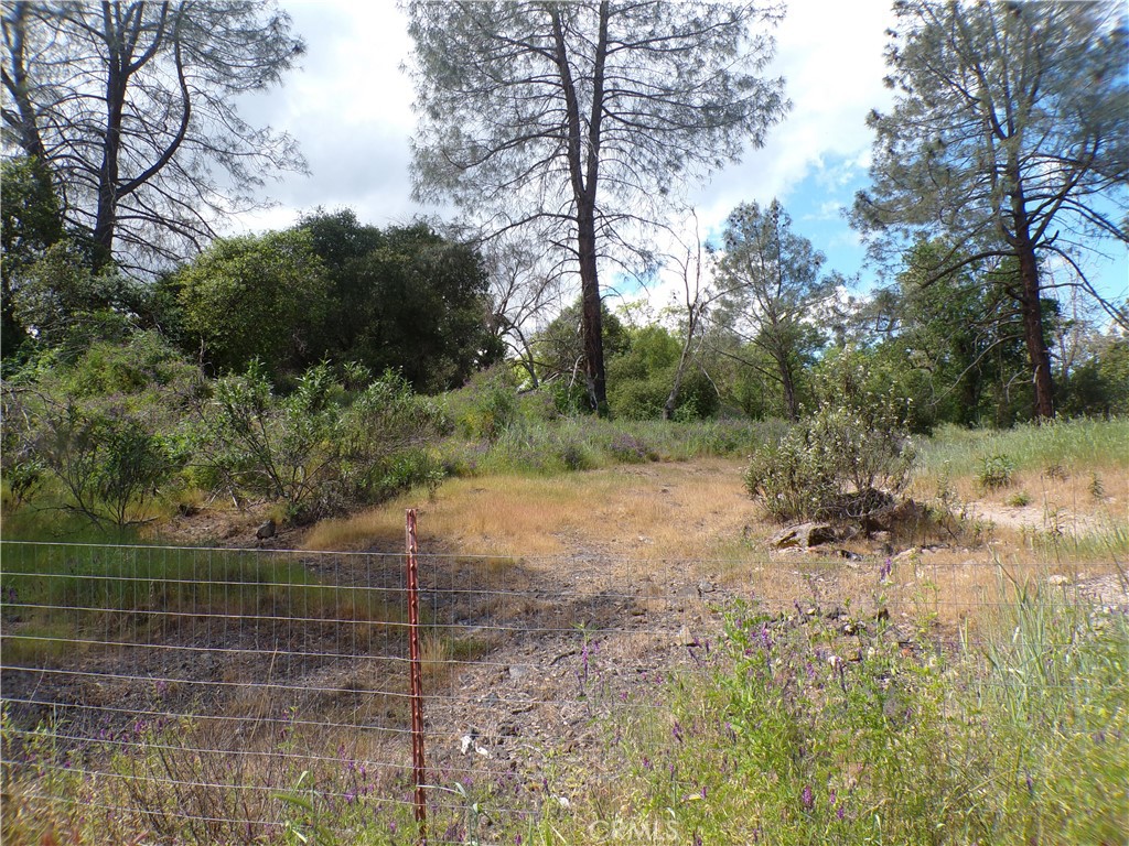 14304 Redbud Property Photo 1