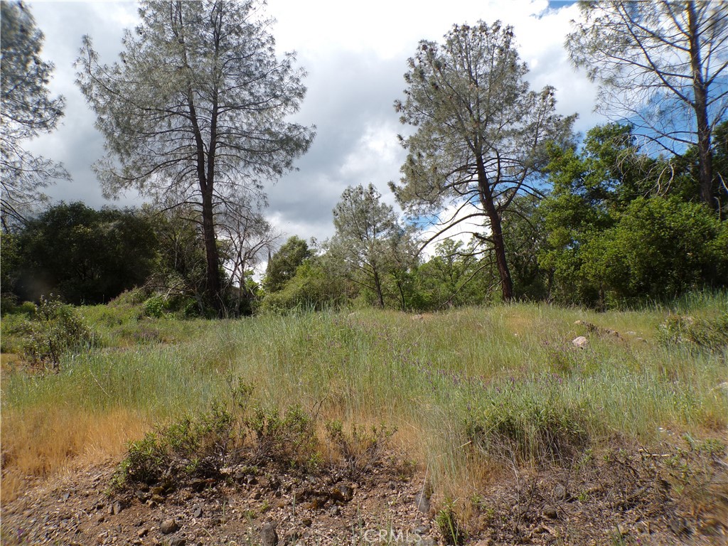 14304 Redbud Property Photo 3