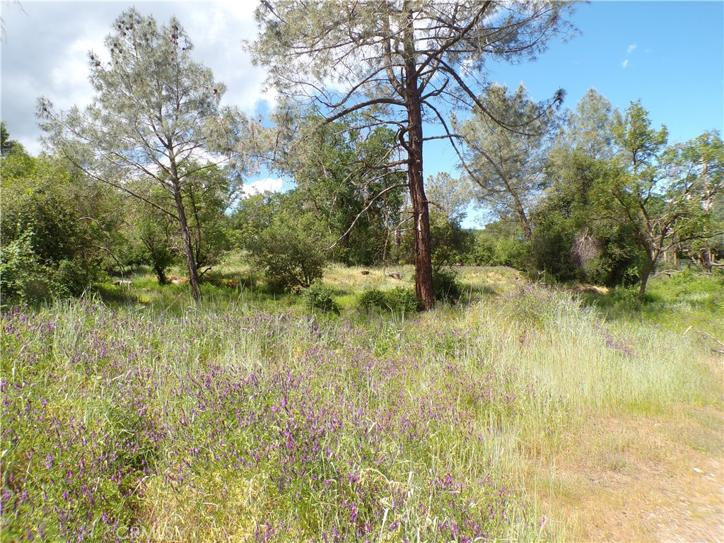 14304 Redbud Property Photo 4