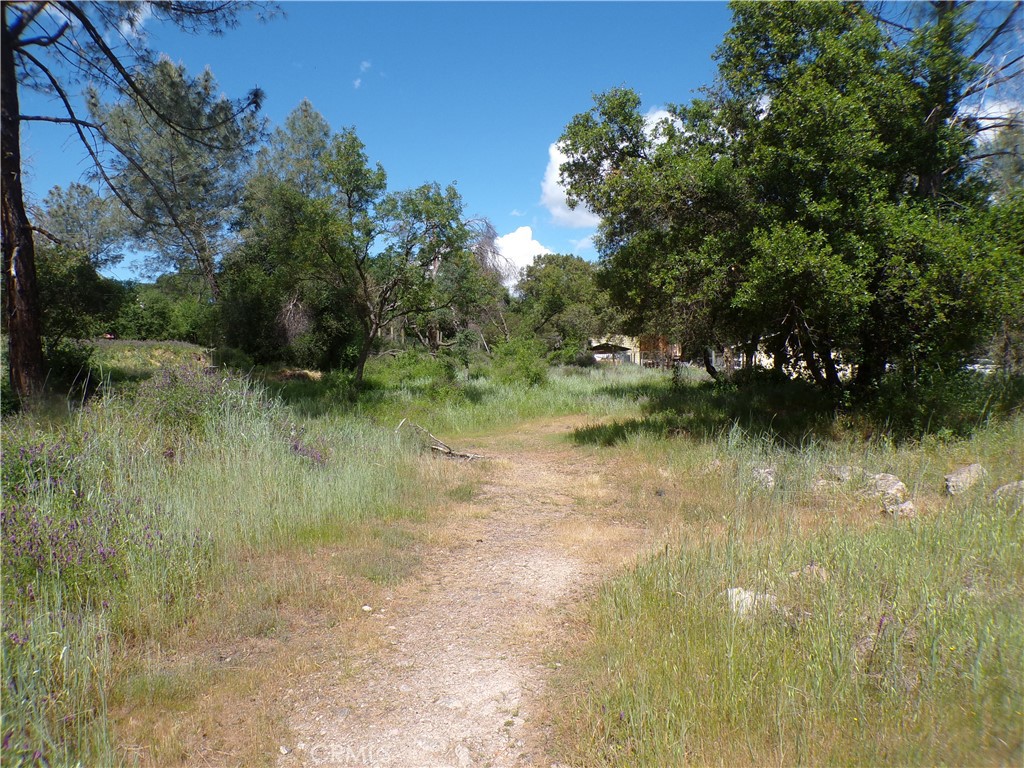 14304 Redbud Property Photo 5
