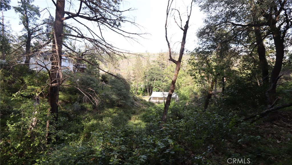 17327 Bay Leaf Road Property Photo 26