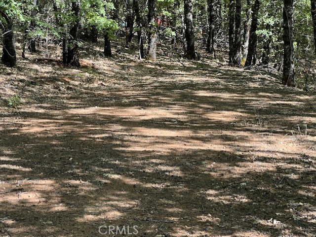 9208 Diamond Dust Property Photo 2