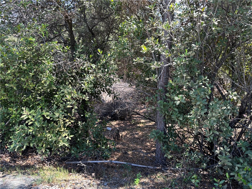 12361 Cerrito Property Photo 4