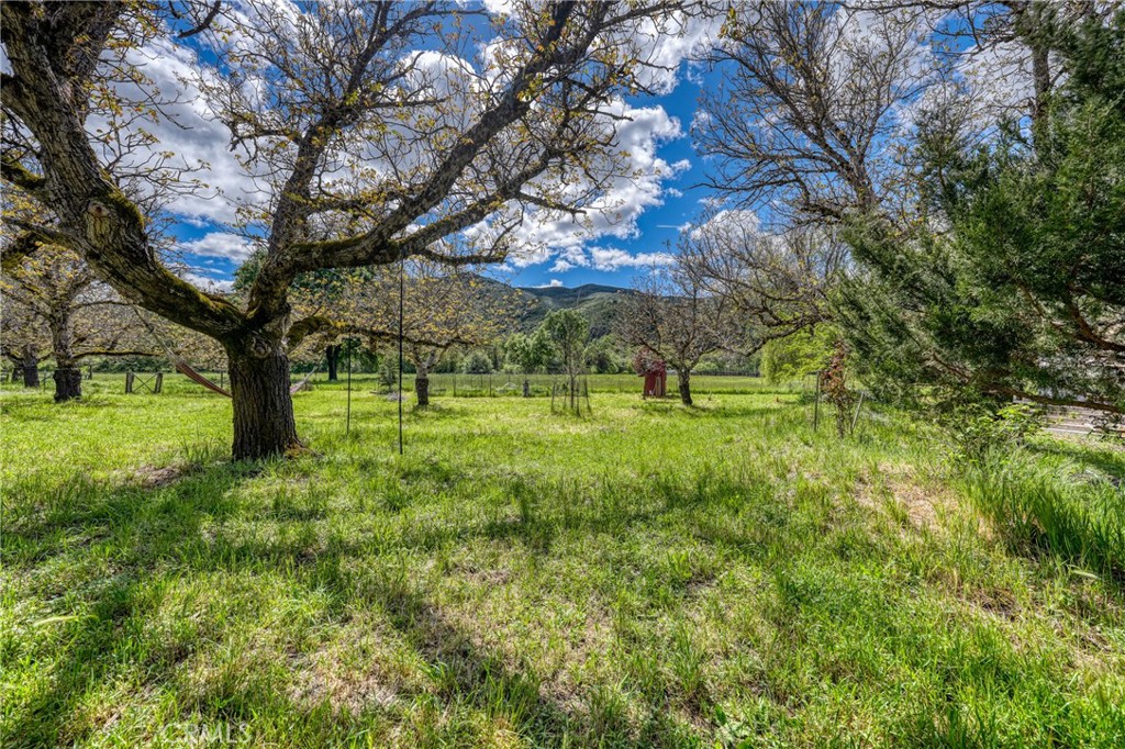 6400 Scotts Valley Property Photo 59