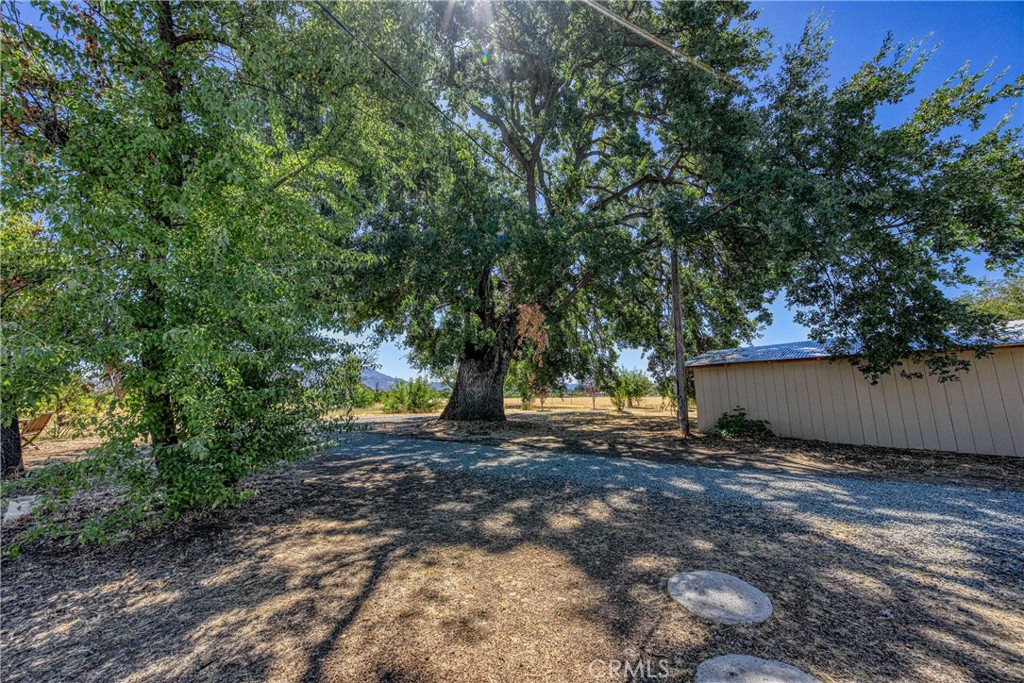 1980 Big Valley Road Property Photo 46