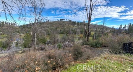 9816 Venturi Drive Property Photo 3