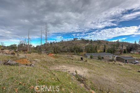 9816 Venturi Drive Property Photo 17