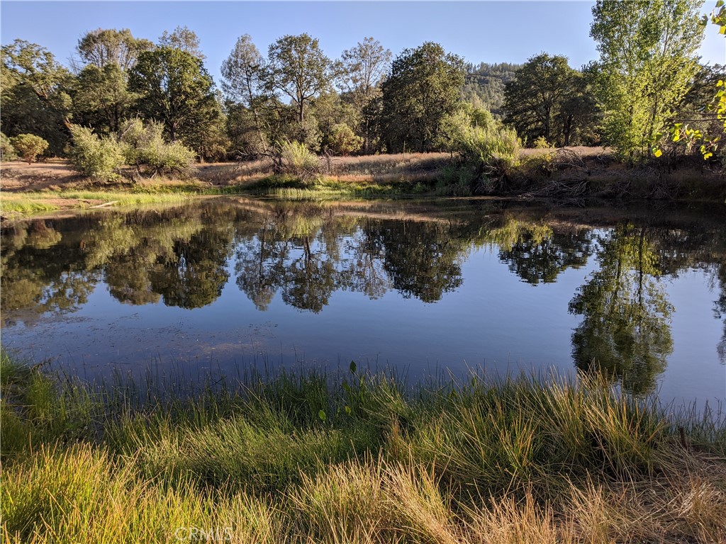 19894 Black Bass Pass Property Photo 1