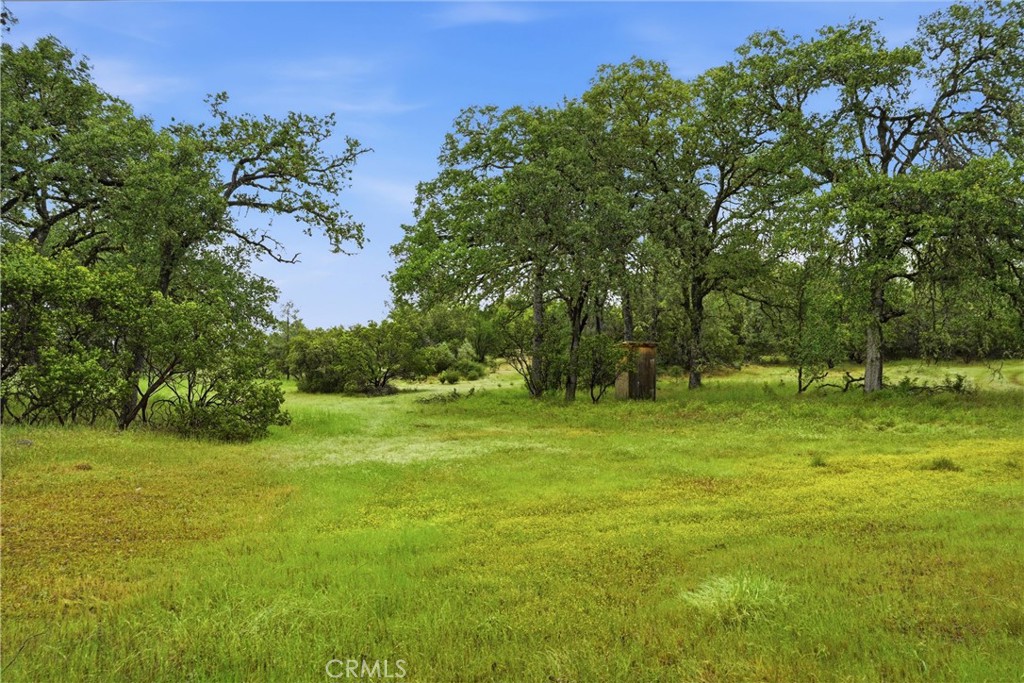 19894 Black Bass Pass Property Photo 5