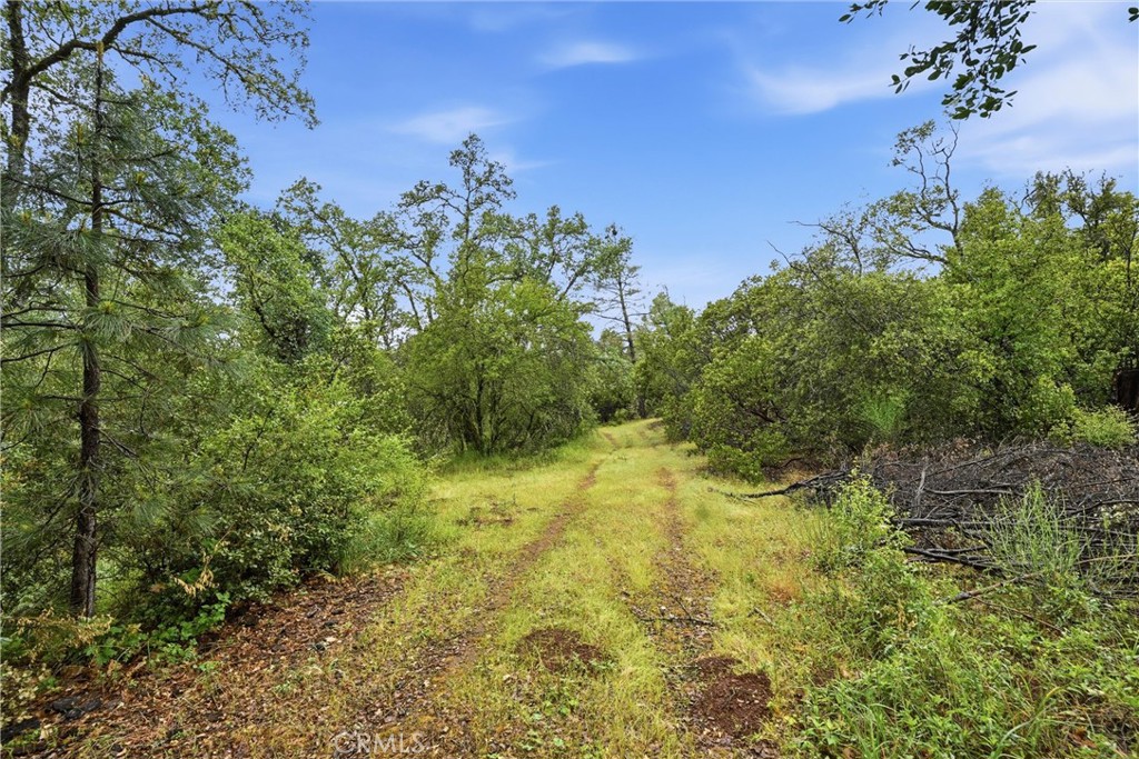 19894 Black Bass Pass Property Photo 6