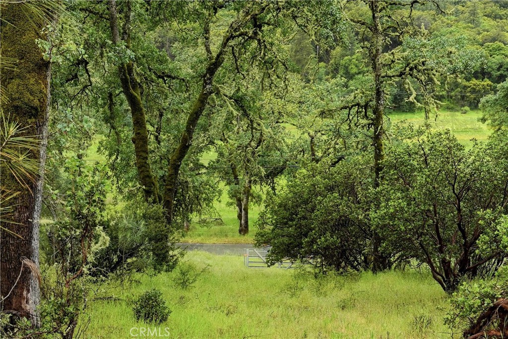 19894 Black Bass Pass Property Photo 6