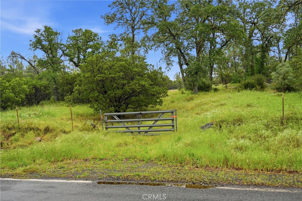 19894 Black Bass Pass Property Photo 8