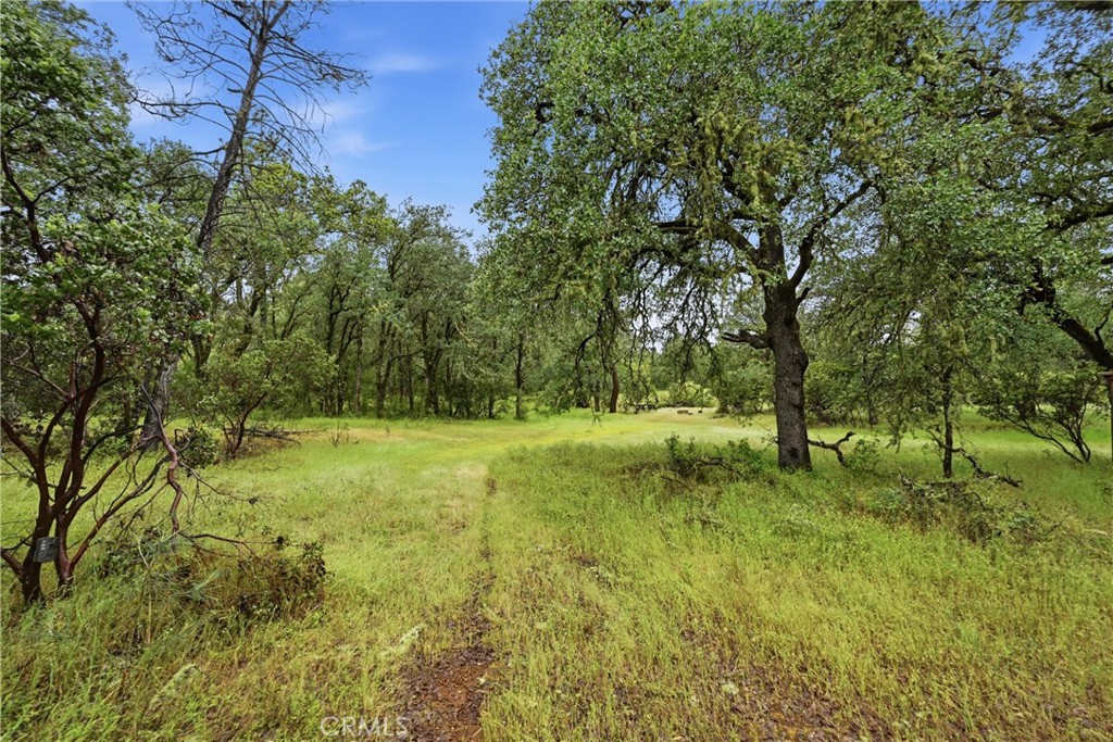 19894 Black Bass Pass Property Photo 9